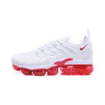 Nike Air Vapormax Plus