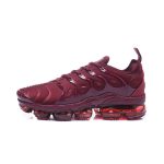 Nike Air Vapormax Plus