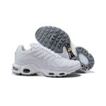 Nike Air Max Plus TN
