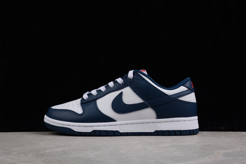 Nike SB Dunk Low "Valerian Blue"