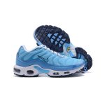 Nike Air Max Plus TN